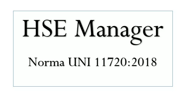 HSE Manager